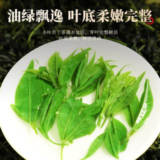 茗愿苦丁茶小叶苦丁青山绿水嫩芽四川峨眉山花草茶叶 100克/罐