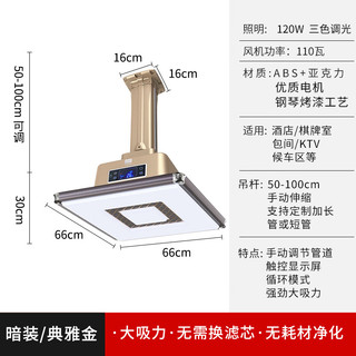 飞稳 直排吸烟灯麻将机空气净化器棋牌室管道外排式大吸力排烟灯 强吸力（120瓦三色光）香槟-暗装