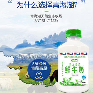 青海高原鲜牛奶500ml*4瓶巴氏杀菌鲜奶儿童营养低温早餐奶