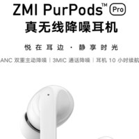 ZMI 紫米 PurPods Pro 入耳式真无线降噪蓝牙耳机