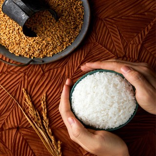 十月稻田 五常大米5kg东北香米原粮稻花香2号10斤