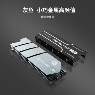 佳翼（JEYI）M.2 固态nvme硬盘2280固态散热片 SSD马甲PS5散热器 NGFF 酷冷灰鱼