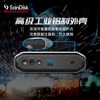 SanDisk professional 闪迪大师 极客 企业级桌面移动硬盘 18TB