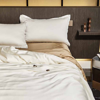 Fitti Pahris轻奢品牌100s夏季兰精天丝四件套高级感裸睡床单被套床上用品 莫兰迪/墨绿  1.5米床单款(适用200*230cm被芯)