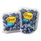 yuguo 愉果 国产新鲜蓝莓125g 新鲜水果 蓝莓6盒装专享
