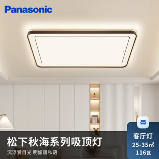 Panasonic 松下 吸顶灯米家智能控制客厅灯全光谱灯具 四室一厅A