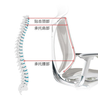 okamura 冈村 人工工学椅电脑椅久坐不累sabrina办公椅子老板椅 总裁椅座椅转椅