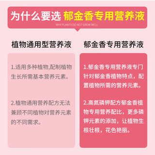 德沃多 DEWODUOFEILIAO郁金香专用型植物营养液500ml养花肥料园艺种植通用氮磷钾复合肥