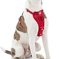 kurgo 增强强度 Tru-Fit 狗狗汽车*带,经过碰撞测试,钢嵌套扣,包括*带系绳,中号-红色