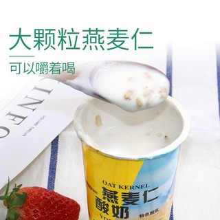 瑞缘新疆燕麦酸奶180g杯装嚼着吃的燕麦仁酸奶营养代餐早餐奶