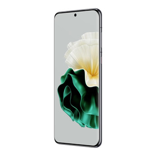 华为/HUAWEI P60 超聚光XMAGE影像 双向北斗卫星消息 256GB 翡冷翠 鸿蒙曲面屏 智能旗舰手机