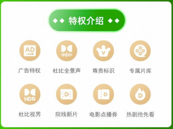 iQIYI 爱奇艺 黄金VIP会员年卡+京东plus年卡