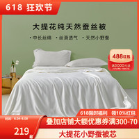 SOMERELLE 安睡宝 轻奢大提花蚕丝双人特大春秋被冬被加厚冬蚕丝被子被芯