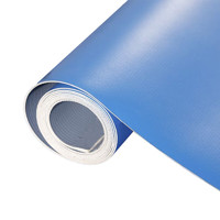 纳仕德 DMQ923PVC塑胶地板革健身房防滑耐磨地胶垫 蓝色2米宽1.2mm厚/平