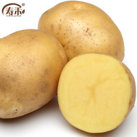 寿禾 黄心土豆种子山东原种春季蔬菜 原种黄心土豆种子 10斤