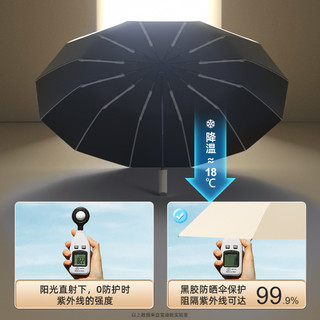 Baodini 宝迪妮 全自动遮阳伞防晒防紫外线女太阳伞晴雨两用折叠大号双人男士雨伞