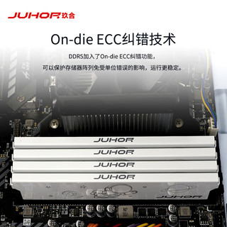 玖合(JUHOR) 16GB(8Gx2)套装 DDR5 6000 台式机内存条 星耀系列 海力士颗粒