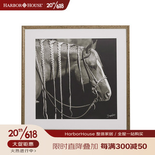 Harbor House客厅复古装饰墙画作旧挂画骏马装饰画实木画框Huck 图案2-114953 长100X宽100X厚4.3cm