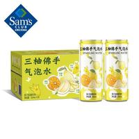 DRinkSBADRINKSBA 三柚佛手气泡水 310ml*20