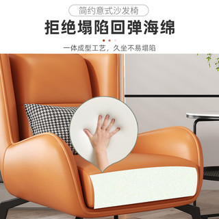 昊罔 HAOWANG）意式极简设计师沙发椅科技布客厅单人沙发轻奢懒人躺椅休闲老虎椅 橙色