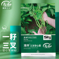 寿禾 shouhe 空心菜种子大叶蔬菜籽 潍育系列潍丰三叉空心菜种子200g(大规格)