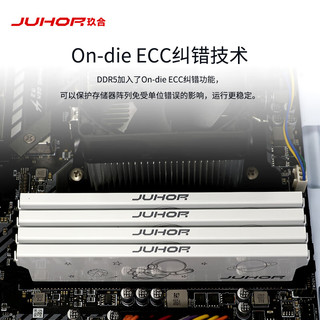 JUHOR 玖合 星耀系列 DDR5 6000MHz 台式机内存 马甲条 白色 32GB 16GBx2