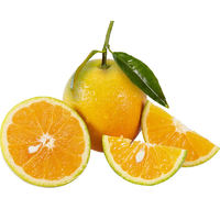 乡语小吖新鲜夏橙 橙子 5斤特大果70mm+ 手剥冰糖甜鲜橙 应季新鲜水果生鲜