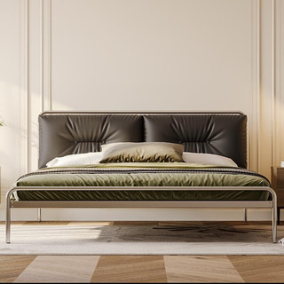 天坛家具床简约现代铁艺床北欧轻奢金属不锈钢床黑色软包床 不锈钢床+20cm弹簧床垫 1.5*2.0m
