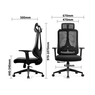 佐盛D1 人体工学椅 电脑椅 办公椅 电竞椅老板椅学生椅家用学习椅可躺