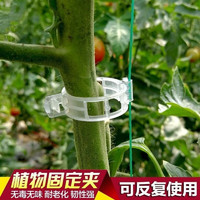 真子（ZHENZI） 植物藤蔓夹塑料绑蔓夹绑枝夹固定夹吊蔓夹藤蔓固定夹绑蔓卡扣 白色藤蔓夹-100只装