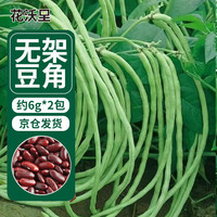 花沃里无架豆角种子6g*2包 蔬菜种子四季菜籽阳台种植盆栽办公庭院田间