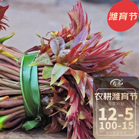 寿禾shouhe红油香椿苗树苗种种籽山东寿光新鲜蔬菜苗活性强带土发货香椿芽 香椿种子100g(50gx2包)