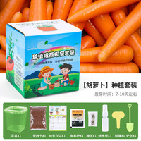 德沃多 DEWODUOFEILIAO萝卜植物观察盒种子趣味种植套装儿童学习家庭DIY花卉盆栽种植杯