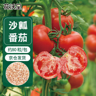 花沃里红蒄大番茄沙瓤西红柿种子80粒 蔬菜种子四季阳台种植盆栽土庭院
