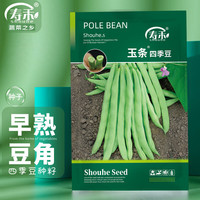 shouhe 四季豆种子无筋蔬菜种籽 潍育系列玉条四季豆种子100g(大规格)