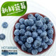 精品大蓝莓 167g*9盒 净重3斤单果15-18mm