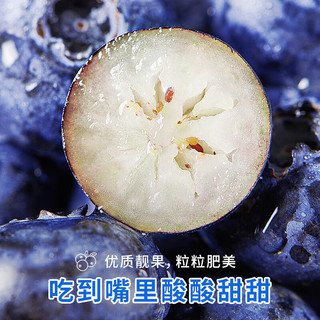 王小二云南新鲜蓝莓鲜果大果水果蓝莓王当季蓝梅特大果怡颗甜莓 4盒 大果18-20mm