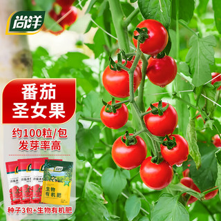 尚洋番茄圣女果种子*3+生物有机肥500g四季播种蔬菜阳台盆栽花籽大全
