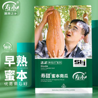 寿禾 shouhe 蜜本南瓜种子早栗板栗蔬菜种籽 潍育系列寿甜蜜本南瓜种子10g