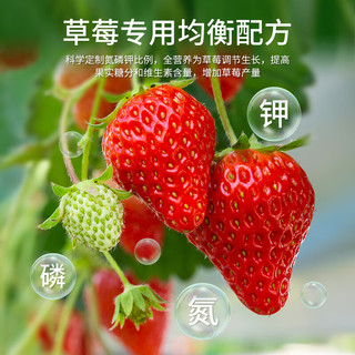 德沃多草莓专用缓释肥1300g养花肥料阳台盆栽果园水果通用氮磷钾复合肥