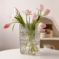 贝汉美（BHM）轻奢高档玻璃花瓶透明植物插花花瓶水培客厅摆件 透明玻璃花瓶 大号高24cm