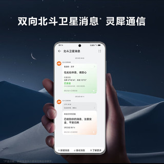 华为/HUAWEI P60 超聚光XMAGE影像 双向北斗卫星消息 256GB 洛可可白 鸿蒙曲面屏 智能旗舰手机