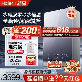 Haier 海尔 JSQ31-16FPD6FPRGU1 燃气热水器 16L