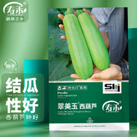 寿禾 西葫芦种子角瓜四季蔬菜种籽 潍育系列翠美玉西葫芦种子100粒