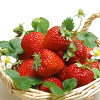 花沃里 奶油红草莓种子1000粒 蔬菜种子四季草莓