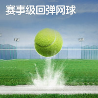 FEIERDUN 飞尔顿 FED双牌网球回弹训练器网球拍单人初学者带线成人大学生儿童通用 回弹球