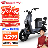ZUB 五星钻豹 电动车新国标48V24AH锂电电瓶车电动自行车 B5plus-24云灰/中灰