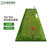 B.C.GOLF高尔夫推杆练习器 高尔夫练习室内高尔夫家用办公室高尔夫练习毯 1m*3m豪华款比赛草
