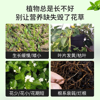 德沃多植物缓释营养棒2.5g*16支*4花肥料盆栽绿植多肉兰花通用型复合肥