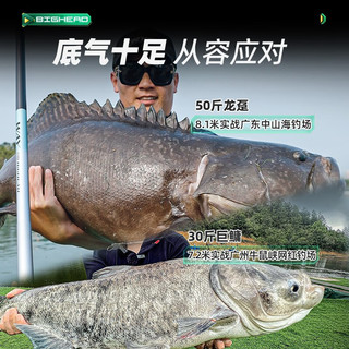 CHUANGWEI 创威 way巨鳙鱼竿手杆超轻超硬碳素鲢鳙钓鱼竿 WAY巨鳙5.4米